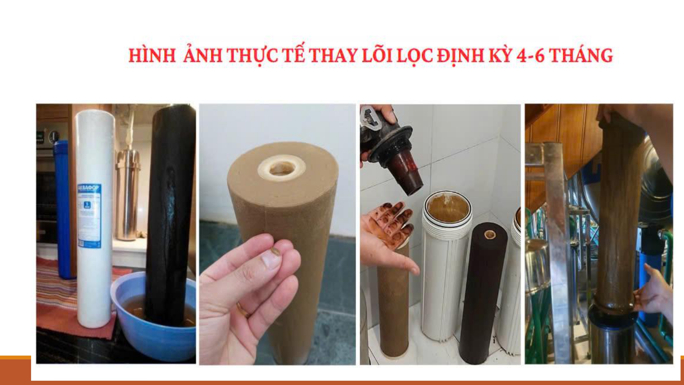 Sản phẩm Paloma trang 12